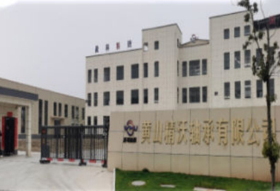 Huangshan OMAGH Bearing Co., Ltd.